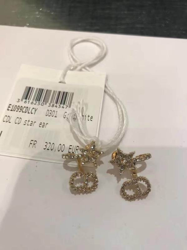 Dior Earring 04lyr348